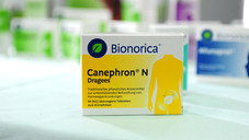 Comeback für Canephron