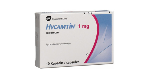 hycamtin gsk
