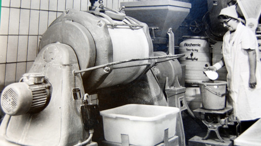 ddr bombastus bombastus06