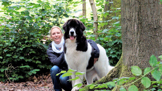 jenniferstock rochus-apo hundfrida jenniferstock