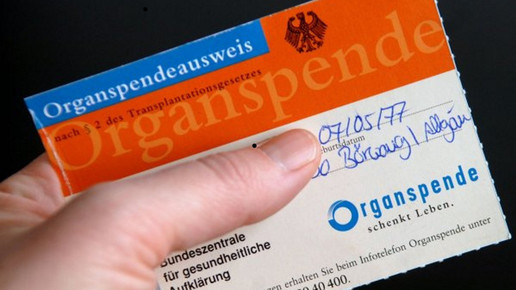 organspende eh neu