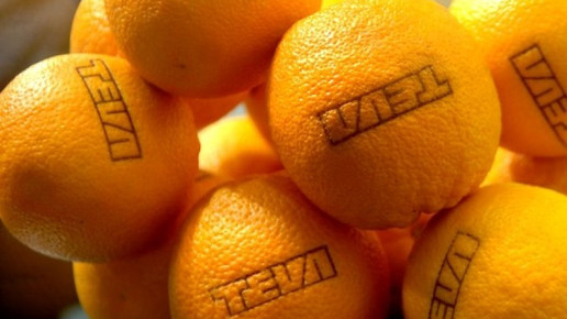 0008-1281460279 8278