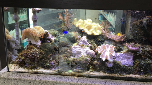 Neustaedter-Apotheke2