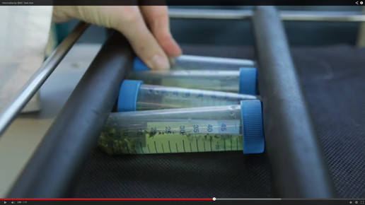 Cannabis OMK8-screenshot