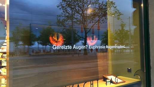 bellevue-apo fenster32 bellevue-apo