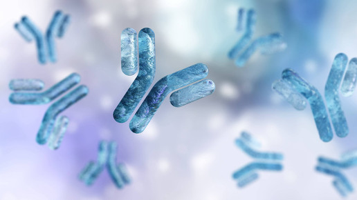 Antikörper: Keine neuen „Mabs“ mehr