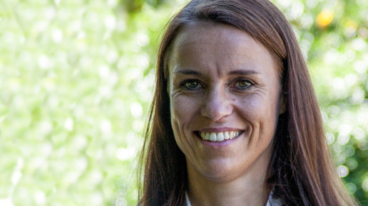 schwabe stein inga schwabe