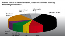 APOTHEKE ADHOC: Wahlumfrage 2011