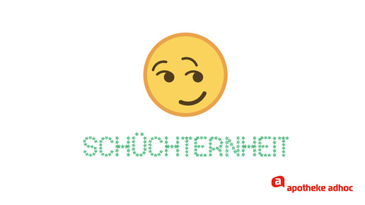 Schuechternehit
