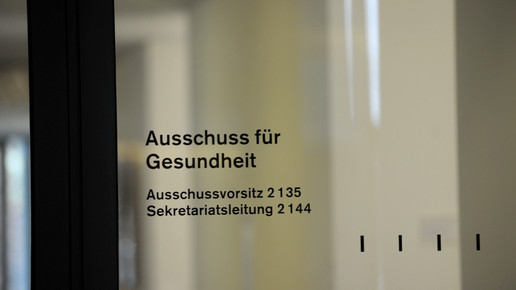 Gesundheitsausschuss: AfD gibt Vorgeschmack