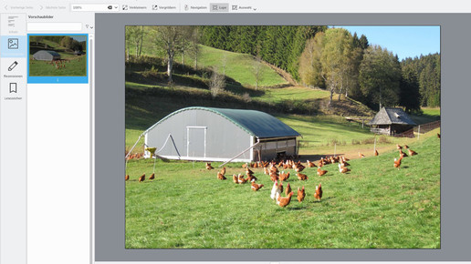 huehner martina braun