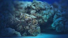 adhoc24 vom 08.12.2021