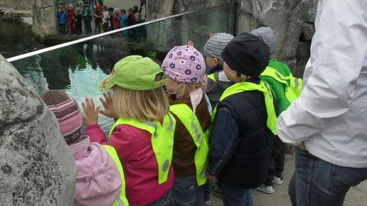 merz kita zoo merz 04