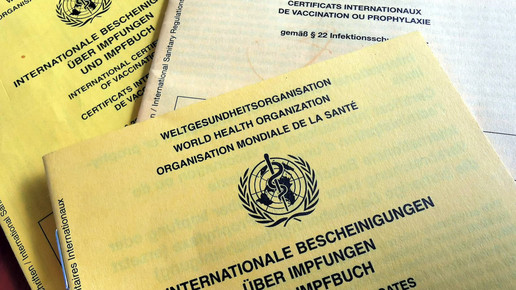 Update: Gefälschte Impfpässe
