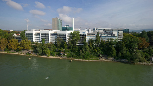 roche basel rheinblick roche
