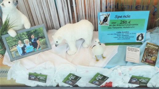 Apoaktionen Ritter-Apotheke Muenchen Schaufenster Hellabrunn Ritter-Apotheke