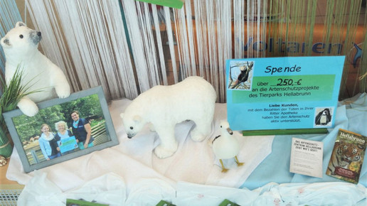 Apoaktionen Ritter-Apotheke Muenchen Schaufenster Hellabrunn Ritter-Apotheke