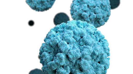 Norovirus CDC Jessica A Allen