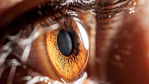 Augenfarbe als Risikofaktor