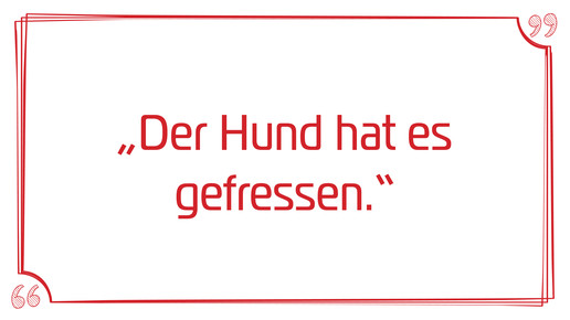 rx-ausreden19 hundgefressen