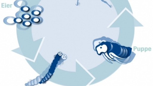 0003-PR-Texte4016 c2052f