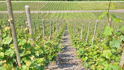 Schiefer-geht-nicht-1024x680