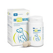 Impromune® stärkt das Immunsystem von Hunden und Katzen