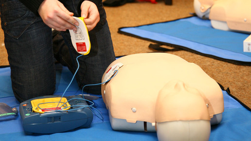 PULS Schulung Defi puls