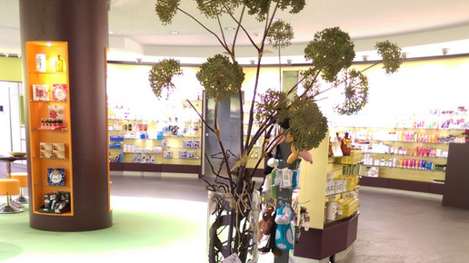 Umzug 9 Hahnerberg-apo