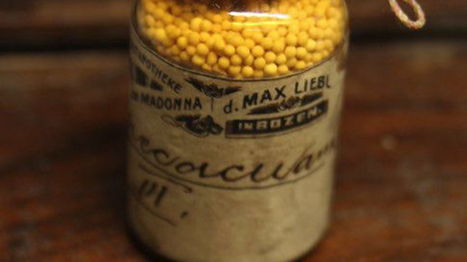 madonna-apo  Ipecacuan madonna-apo