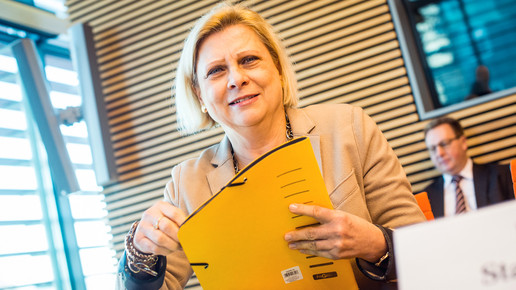 mattheis gesundheitsausschuss170213 domma