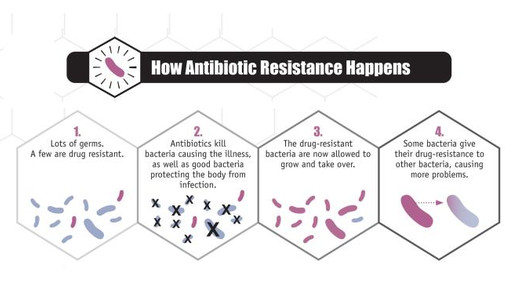 antibiotikaresistenzen CDC Melissa Brower