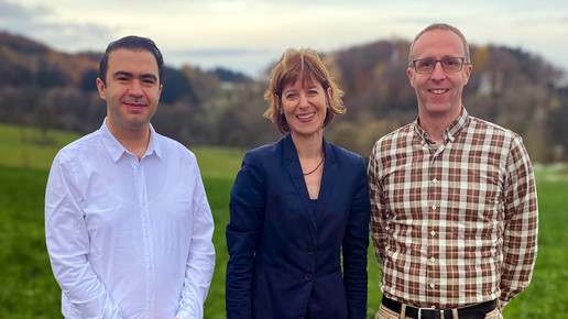 Liste 6: Erst Kammer-, dann Bundestagswahl