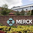 merck headquarter merck Merck beendet Impfstoffentwicklung