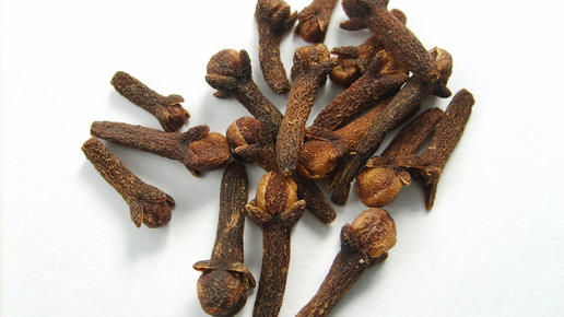 gewuerznelke wiki jorge barrios