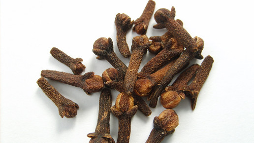 gewuerznelke wiki jorge barrios