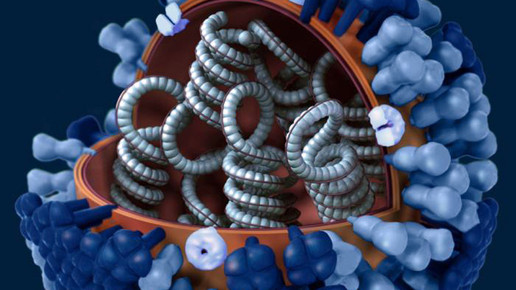 Influenza: 50 Prozent über Vorjahr