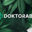 Abgebildet ist das Logo von Doktor ABC vor Cannabisblättern