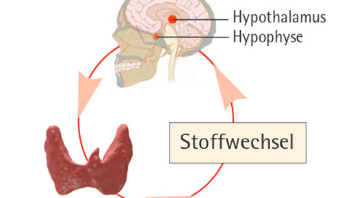 160622 screenshot2 schilddruesen liga