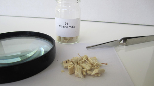Althae radix 2 aa