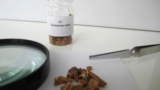 Gentianae radix 2 aa