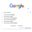 Die Google-Trends im Corona-Jahr Die Google-Trends im Corona-Jahr