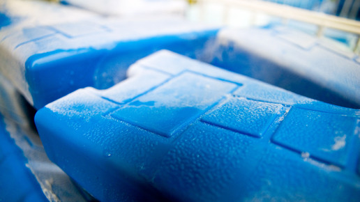 Grosshandel 4 kuehlakku temperatur kalt phoenix 169