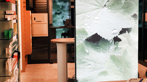 burgapotheke7 overwiening