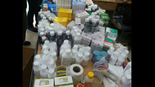 pangea xi 12 interpol.