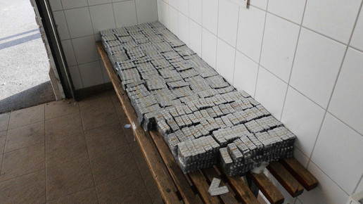 pangea xi 3 interpol.