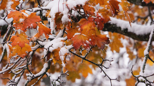 Mehr Herz-Kreislauf-Tote im Winter