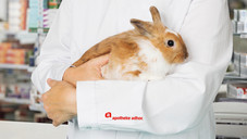 Erlaubt: Geringwertige Kleinigkeiten