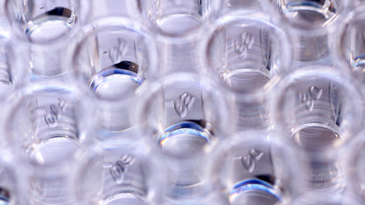 antibiotikaresistenz bakterien Christian Urban Uni Kiel