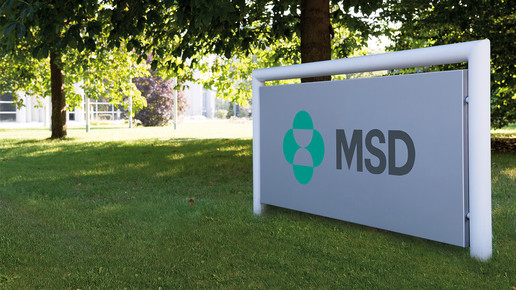 msd firmenschild msd sharp dohme